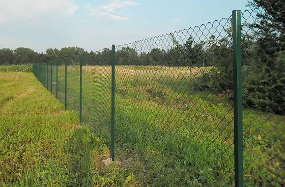 Сетка рабица в ПВХ 1,2 х 10 м ТУ. Ячейка 55х55. Проволока 2,4 мм. РБ.