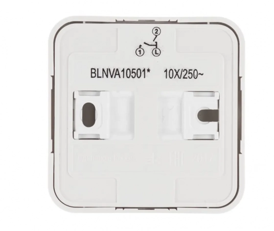 Выключатель двухкл. Schneider Electric Blanca BLNVA105011. РФ.